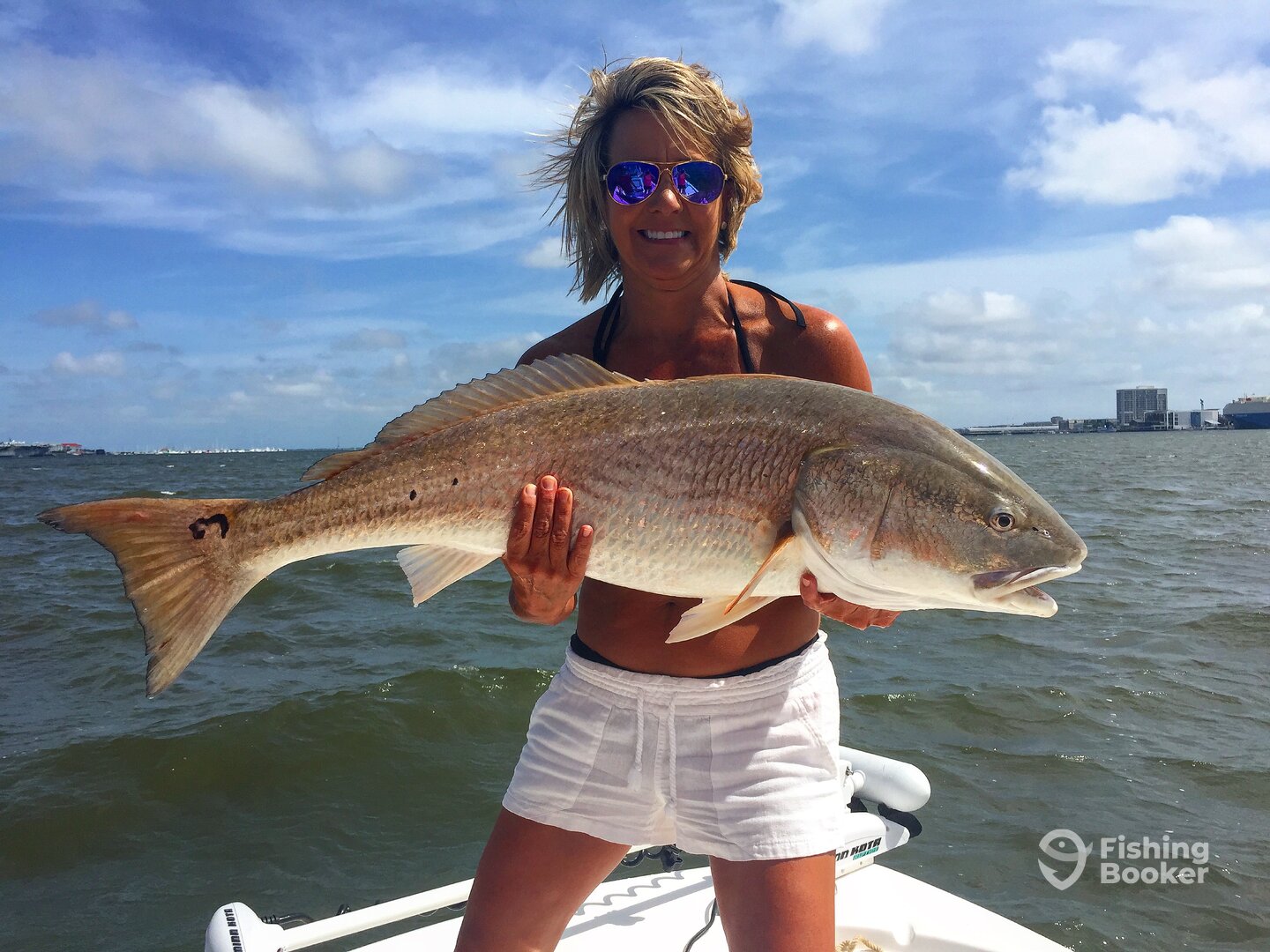 Charleston Report Photo 0