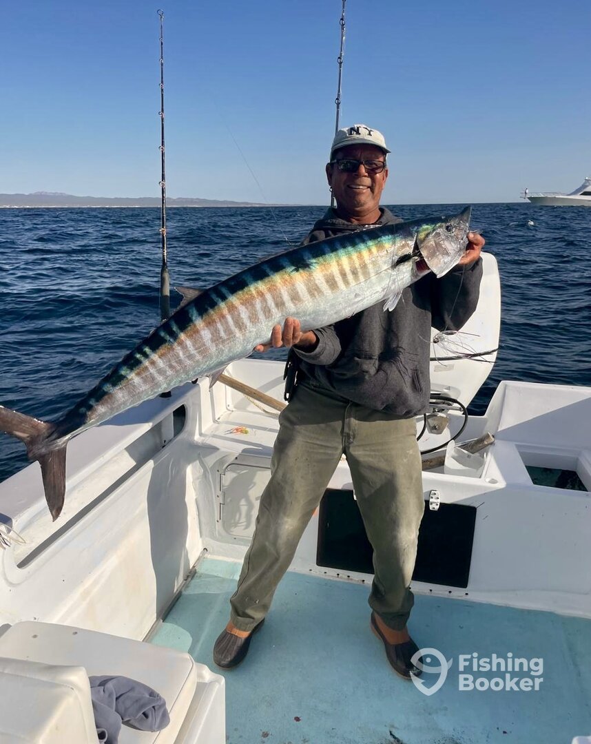 San Jose del Cabo Report Photo 0