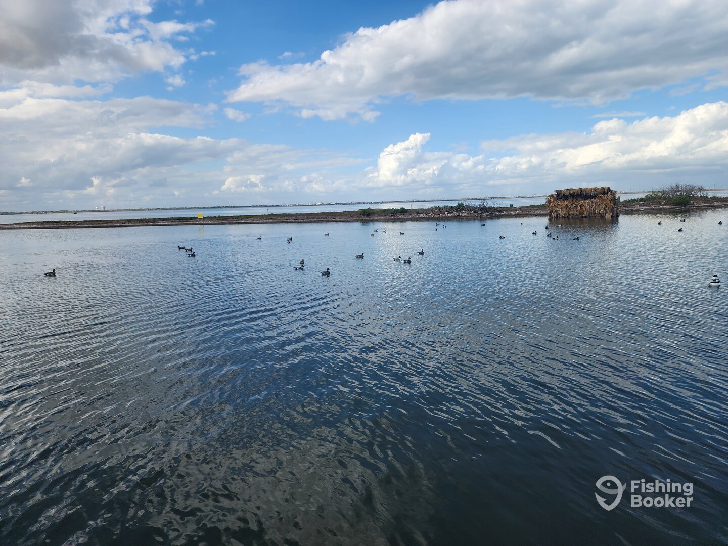 Corpus Christi Report Photo 0