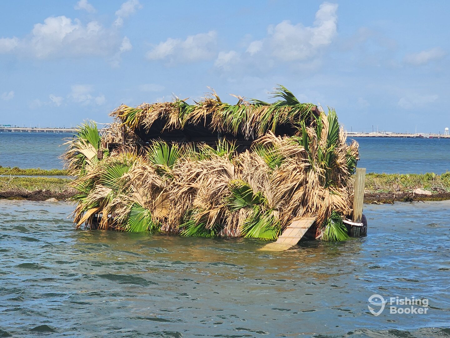 Corpus Christi Report Photo 0