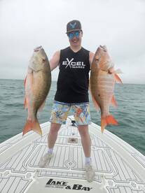 Mutton snapper for dinner 