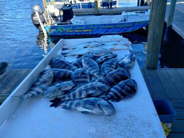 Homosassa Report Photo 2