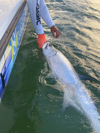 Fajardo Report Photo 2