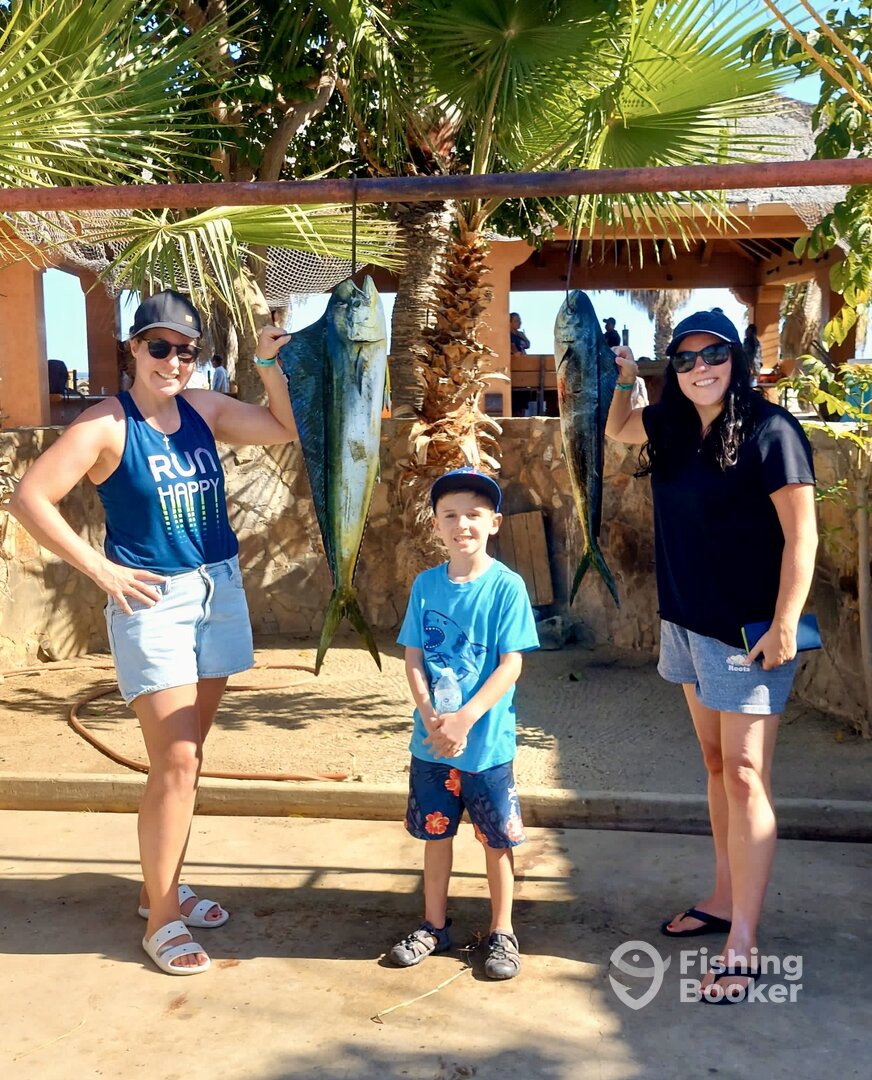 San Jose del Cabo Report Photo 0