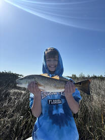 Spring Hill Report Photo 2