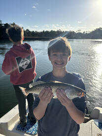 Spring Hill Report Photo 1