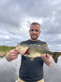 Palm Bay Report Photo 1