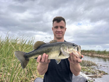 Palm Bay Report Photo 2