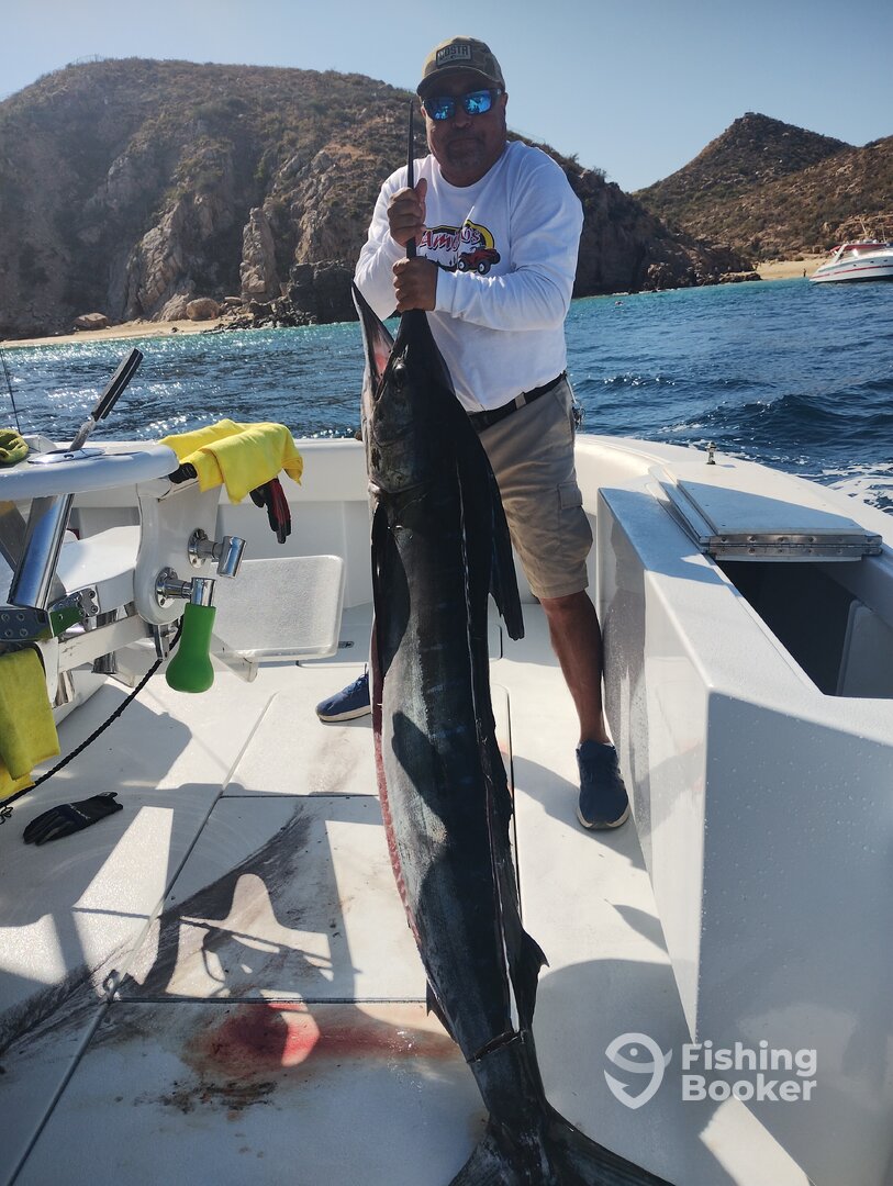 Cabo San Lucas Report Photo 0