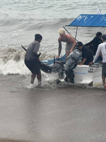 Rincón de Guayabitos Report Photo 3