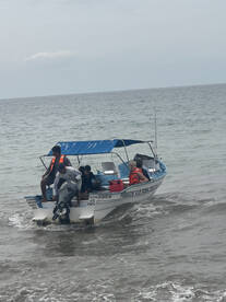 Marlin, marlin marlin….