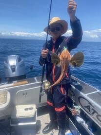 Auckland Report Photo 2