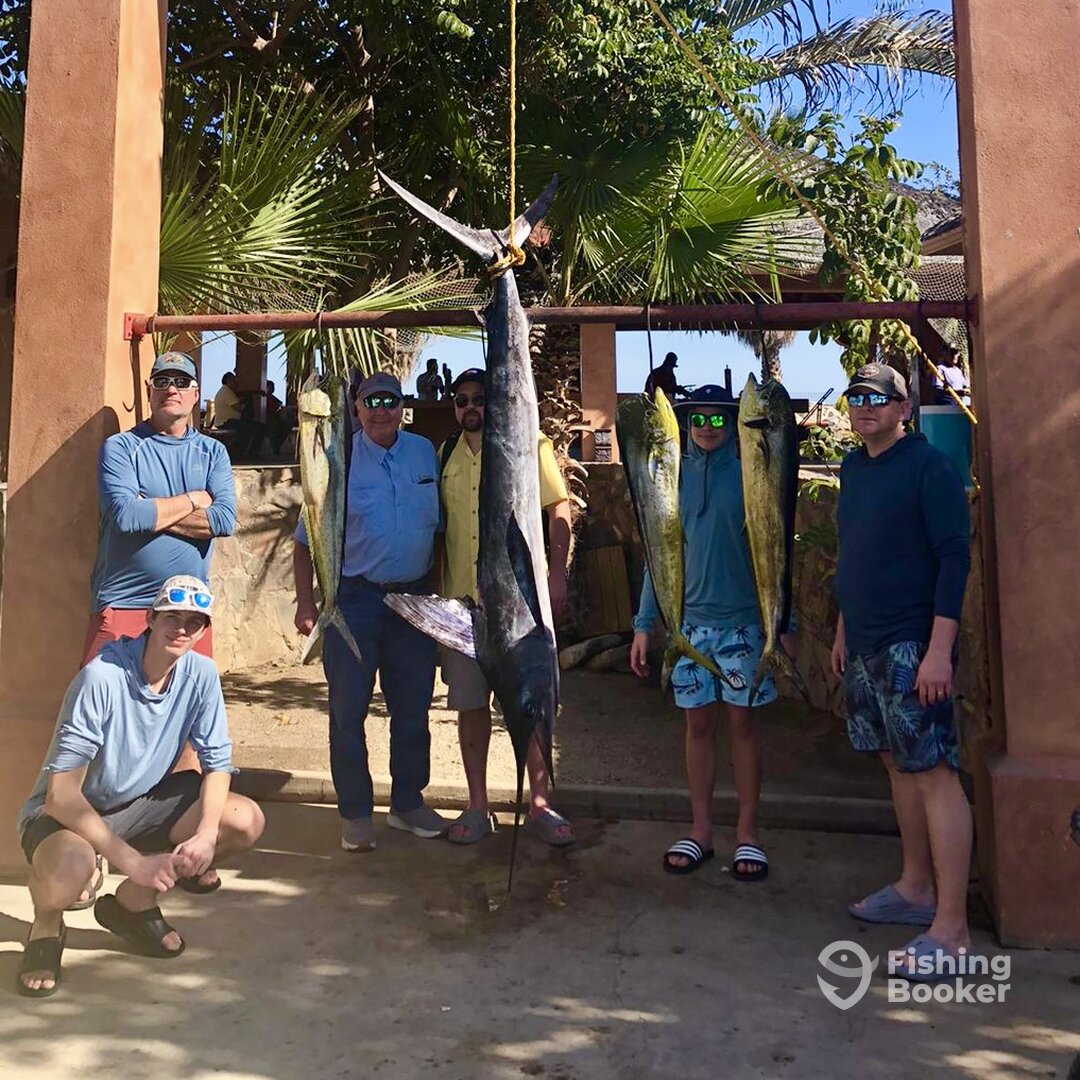 San Jose del Cabo Report Photo 0