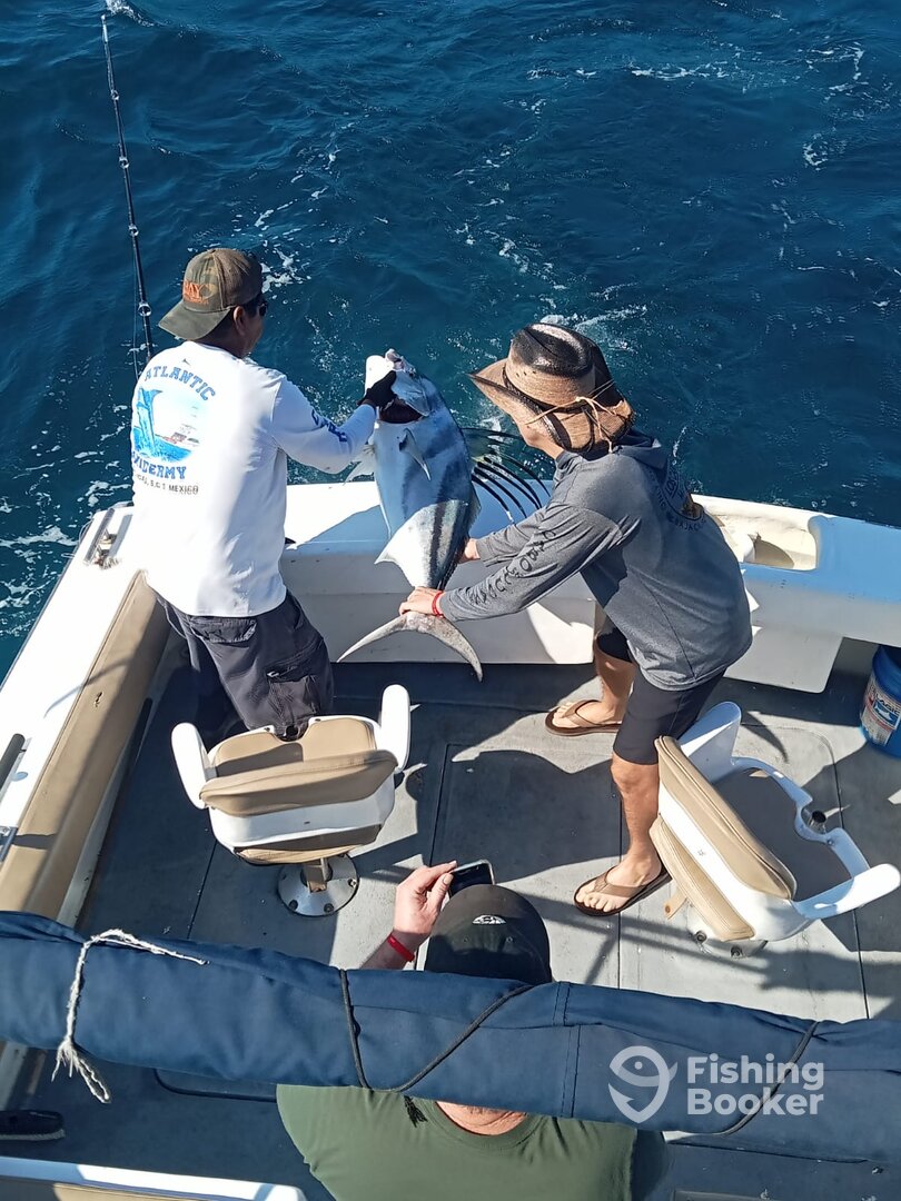 Cabo San Lucas Report Photo 0