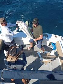 Cabo San Lucas Report Photo 1