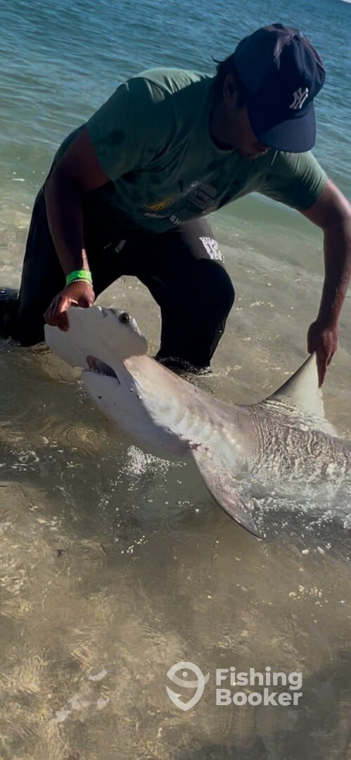 Anna Maria Report Photo 0