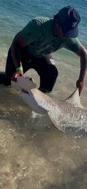 The bite in Tampa is on fire right now! 