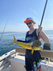 Puerto Vallarta Report Photo 2
