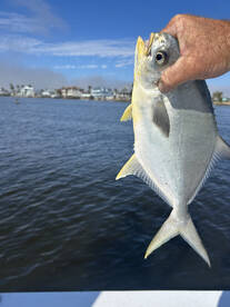 Fort Myers Report Photo 1