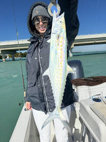 Spanish Mackerel are biting! 