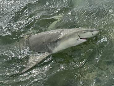 Key West Report Photo 2