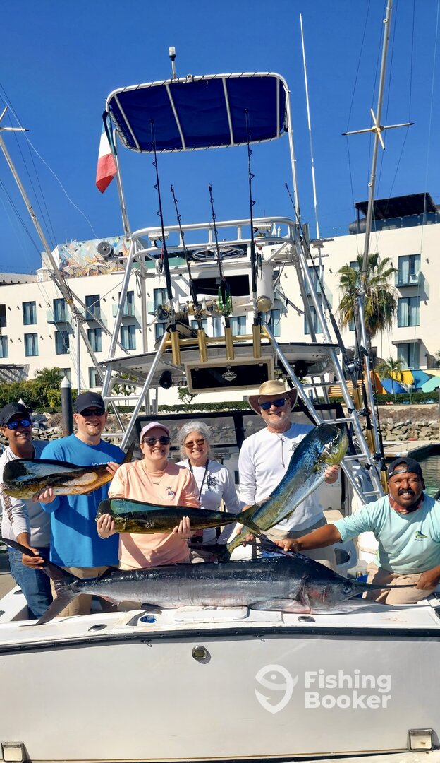 San Jose del Cabo Report Photo 0