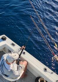 San Jose del Cabo Report Photo 1