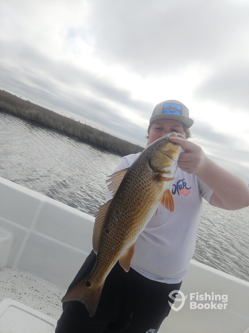 Cedar Key Report Photo 0