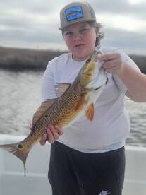 Cedar Key Report Photo 2