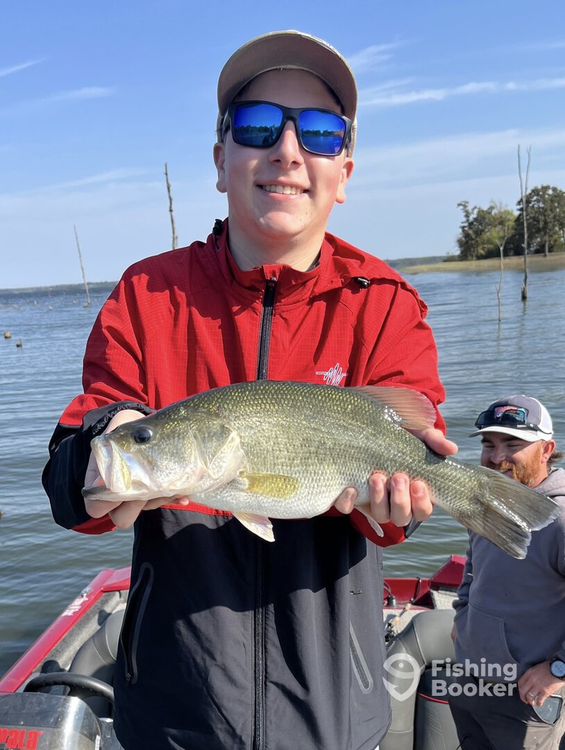Quitman Report Photo 0
