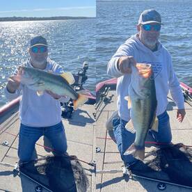 Quitman Report Photo 1
