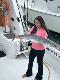 Miami Report Photo 1