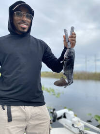 Weston Report Photo 2