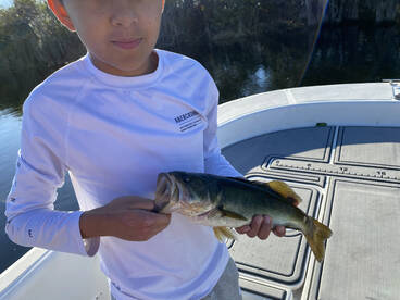 Weston Report Photo 1