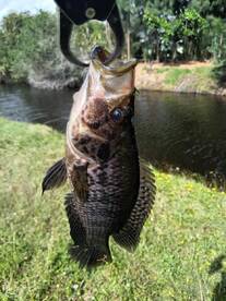 Busy day on the water 