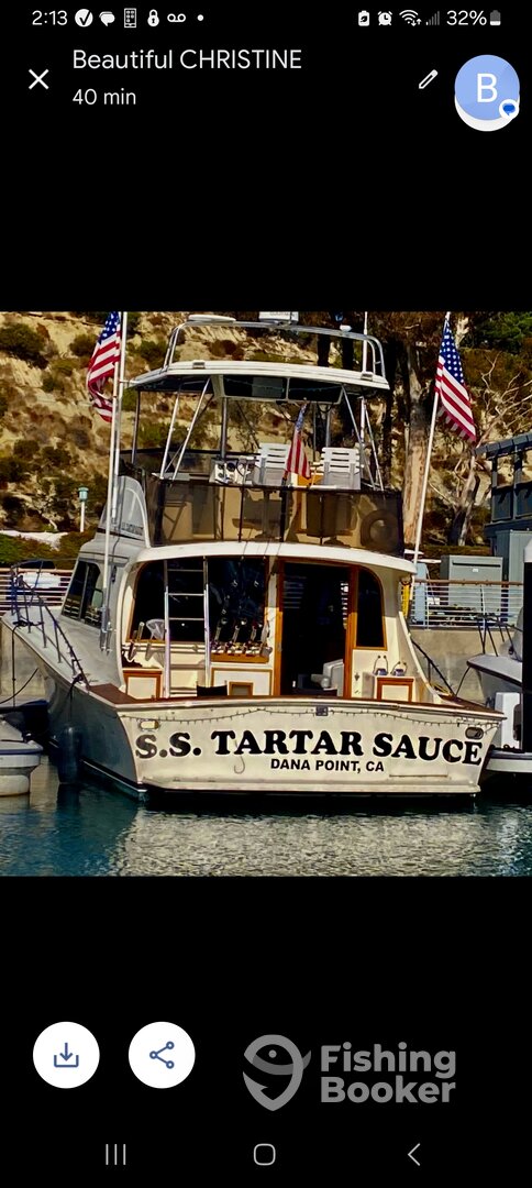 Dana Point Report Photo 0
