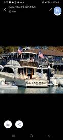 Dana Point Report Photo 1