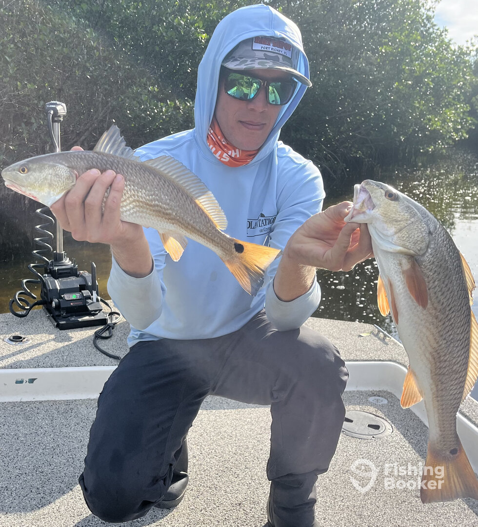 Port Richey Report Photo 0
