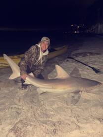 5’9” shark