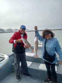 Great Redfish Action 