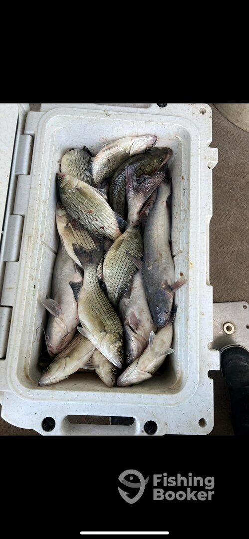 Sand Springs Report Photo 0