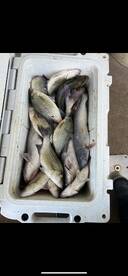 Winter time fishing is red hot!!