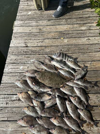 100plus fish day kept enough for a coupl