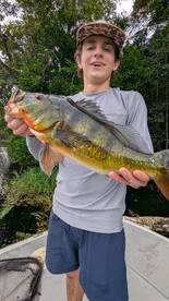 Gamboa Report Photo 2