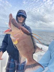 Belleair Bluffs Report Photo 2