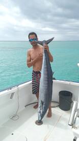 Big wahoo