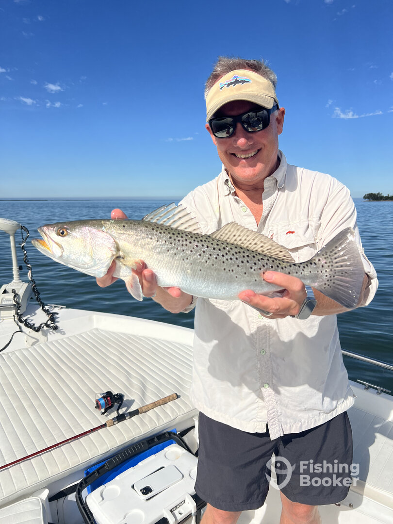 Tarpon Springs Report Photo 0
