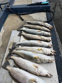 Tarpon Springs Report Photo 1