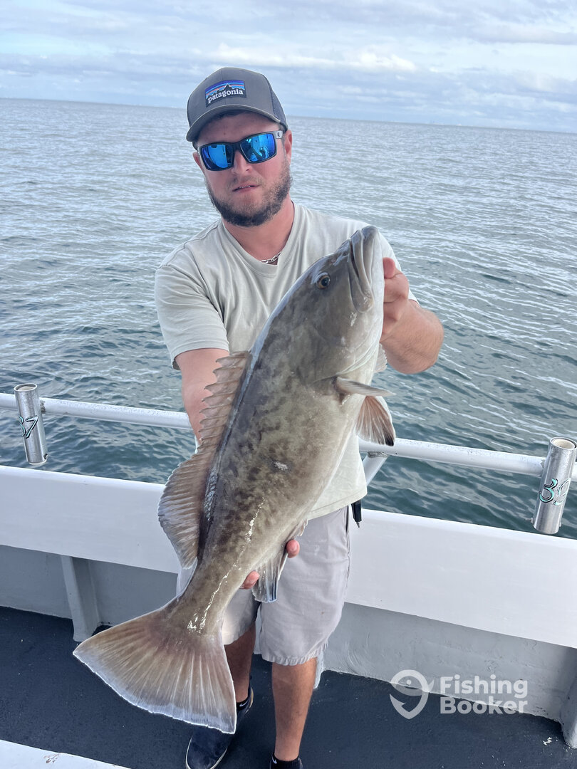 St. Pete Beach Report Photo 0