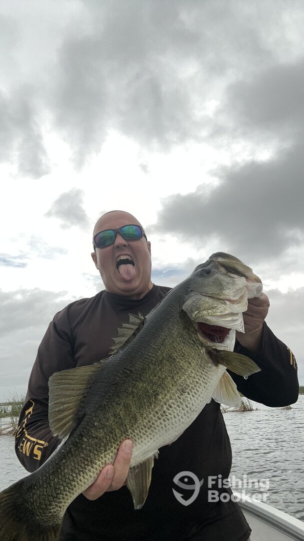 Palm Bay Report Photo 0